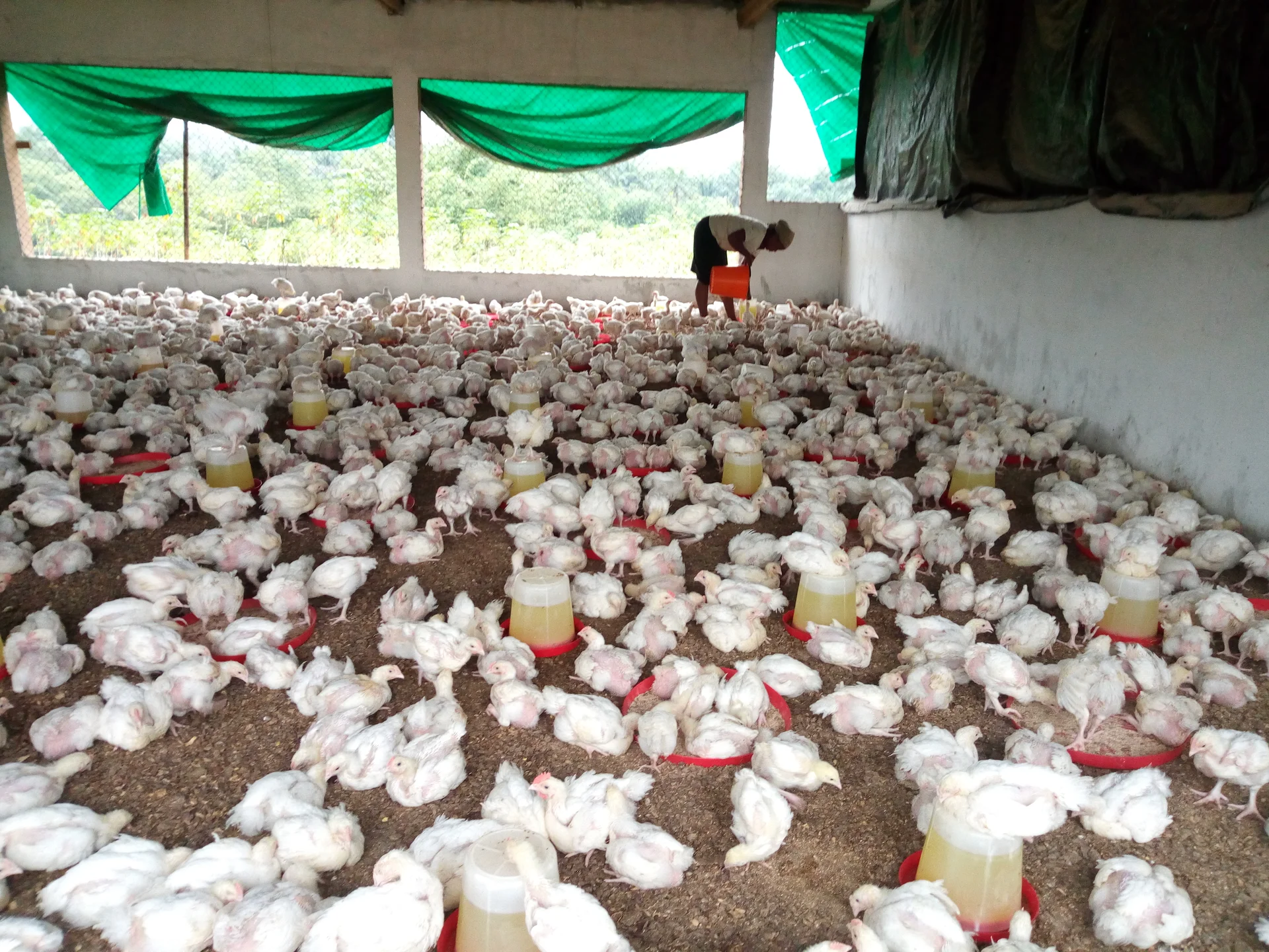 Bio-production crop and livestock integrated farming landscape fields
